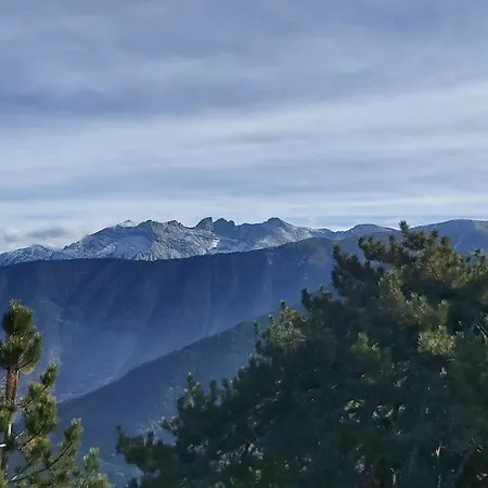 Dimatis Agios Dimitrios (Pieria)