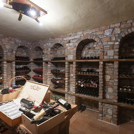 蒂玛提斯酒店 酒店 3*