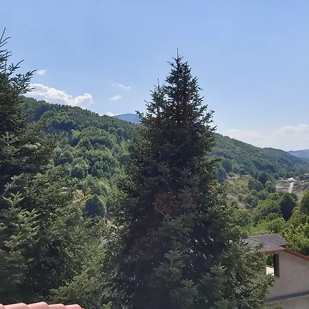 蒂玛提斯酒店 3*