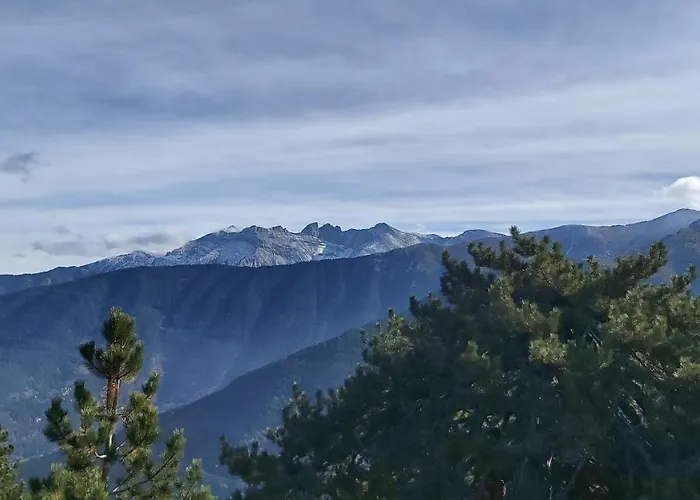 Dimatis Agios Dimitrios (Pieria)