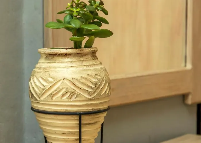 Отель Dimatis 3*