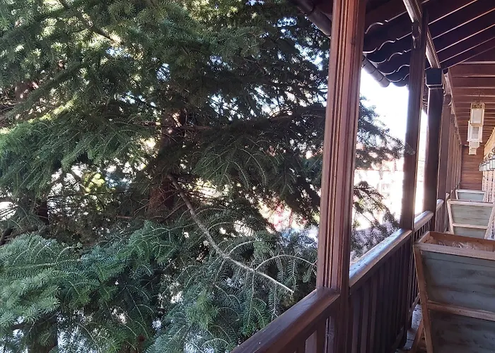 Отель Dimatis 3*